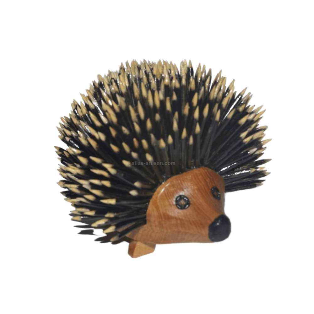 Decor of Thuya Hedgehog