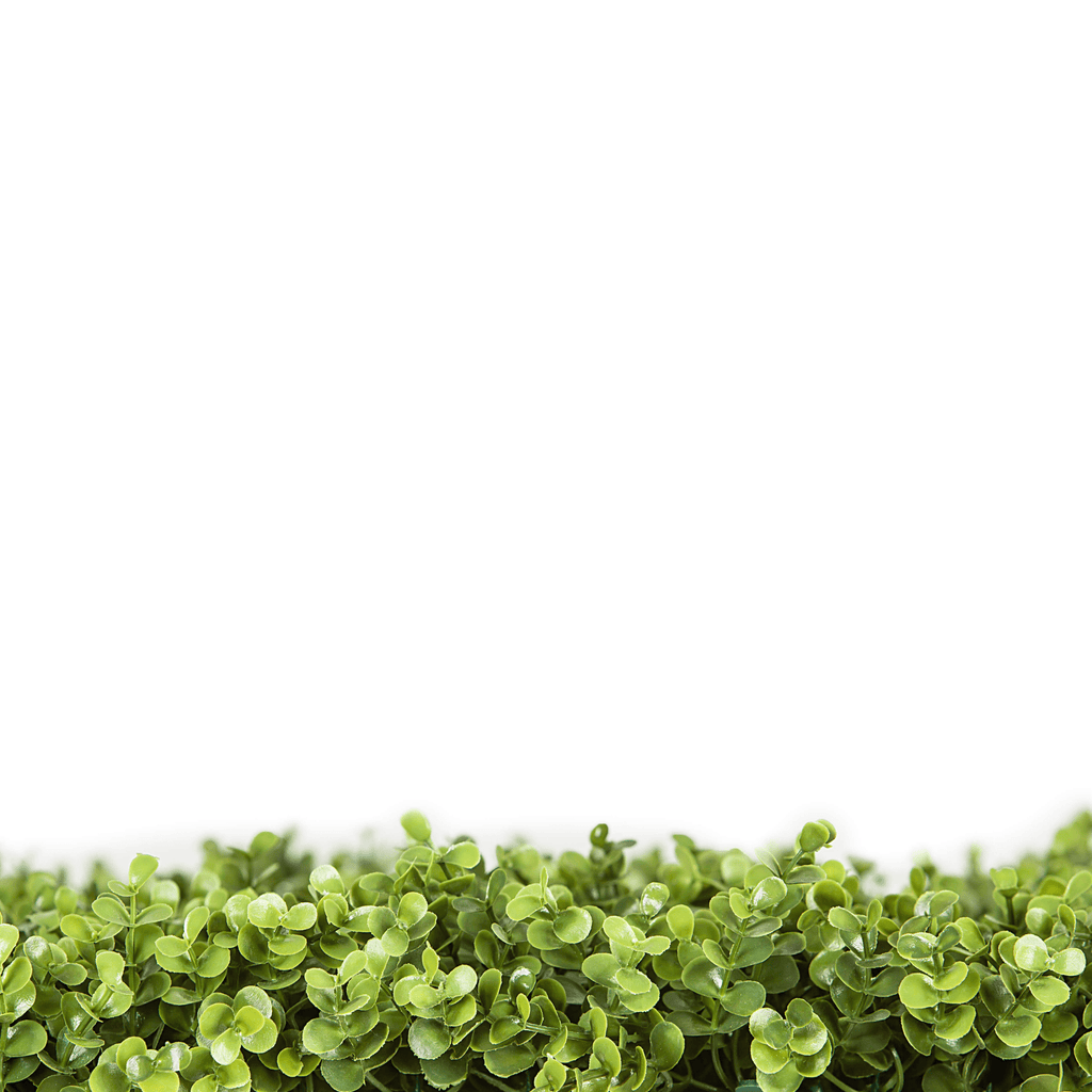 Natural Boxwood Artificial Vertical Garden Green Wall Panel 40×40in 11 SQ FT – UV Resistant – Commercial Grade-3
