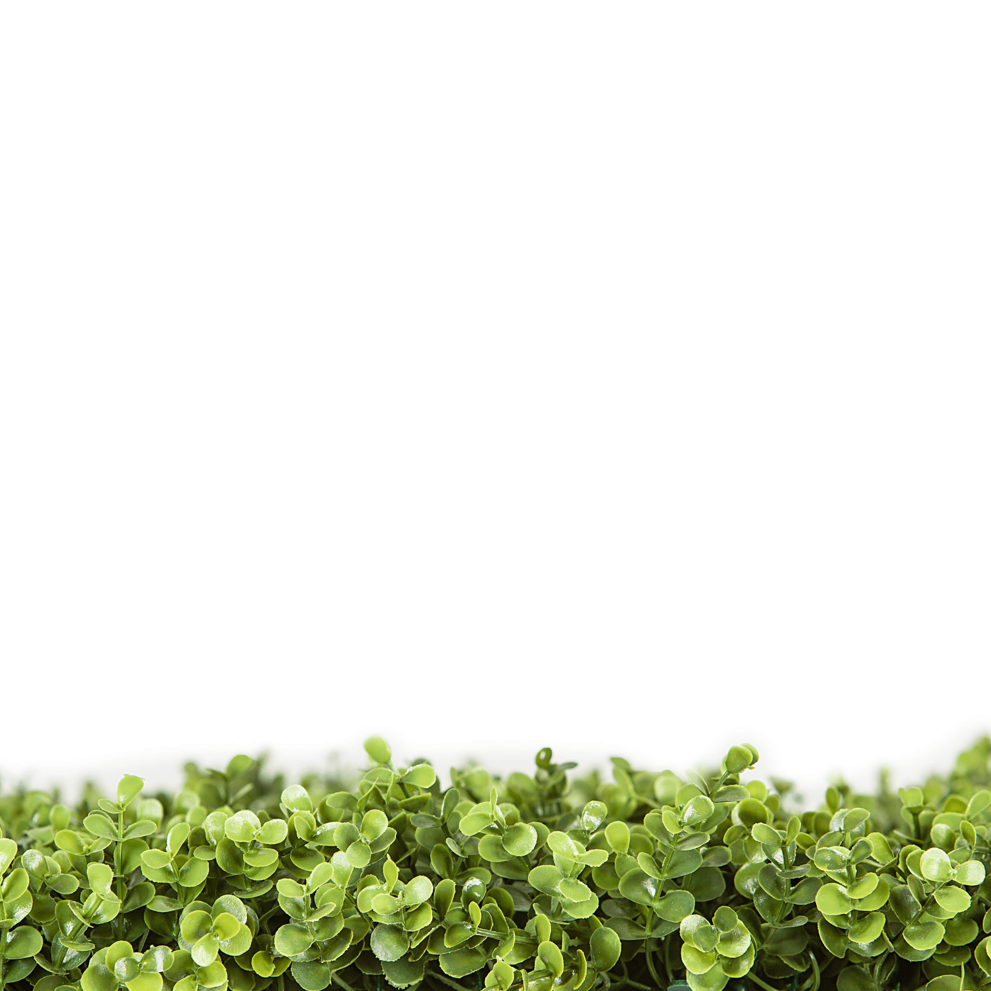 Natural Boxwood Artificial Vertical Garden Green Wall Panel 40×40in 11 SQ FT – UV Resistant – Commercial Grade-3