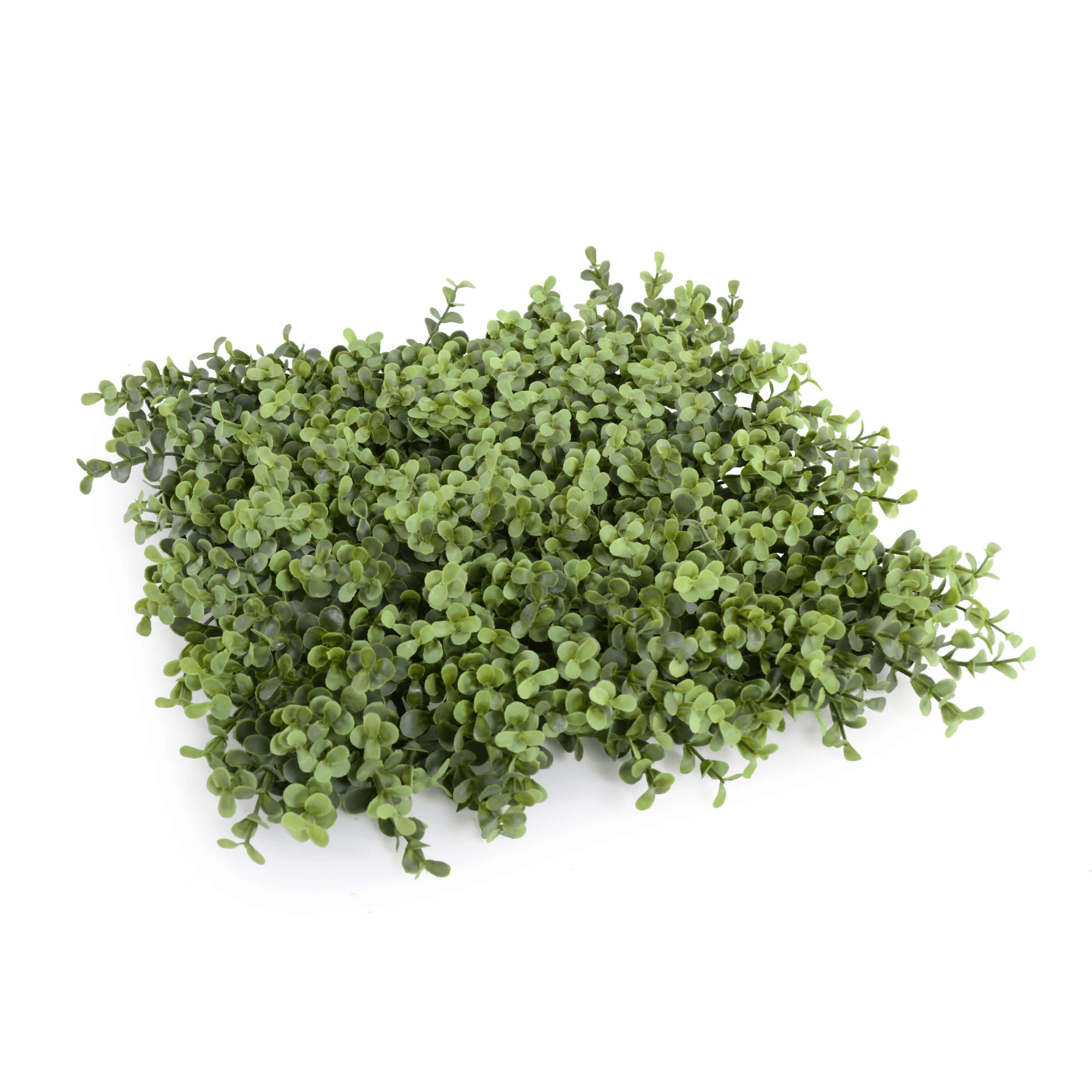 Natural Boxwood Artificial Vertical Garden Green Wall Panel 40×40in 11 SQ FT – UV Resistant – Commercial Grade-4