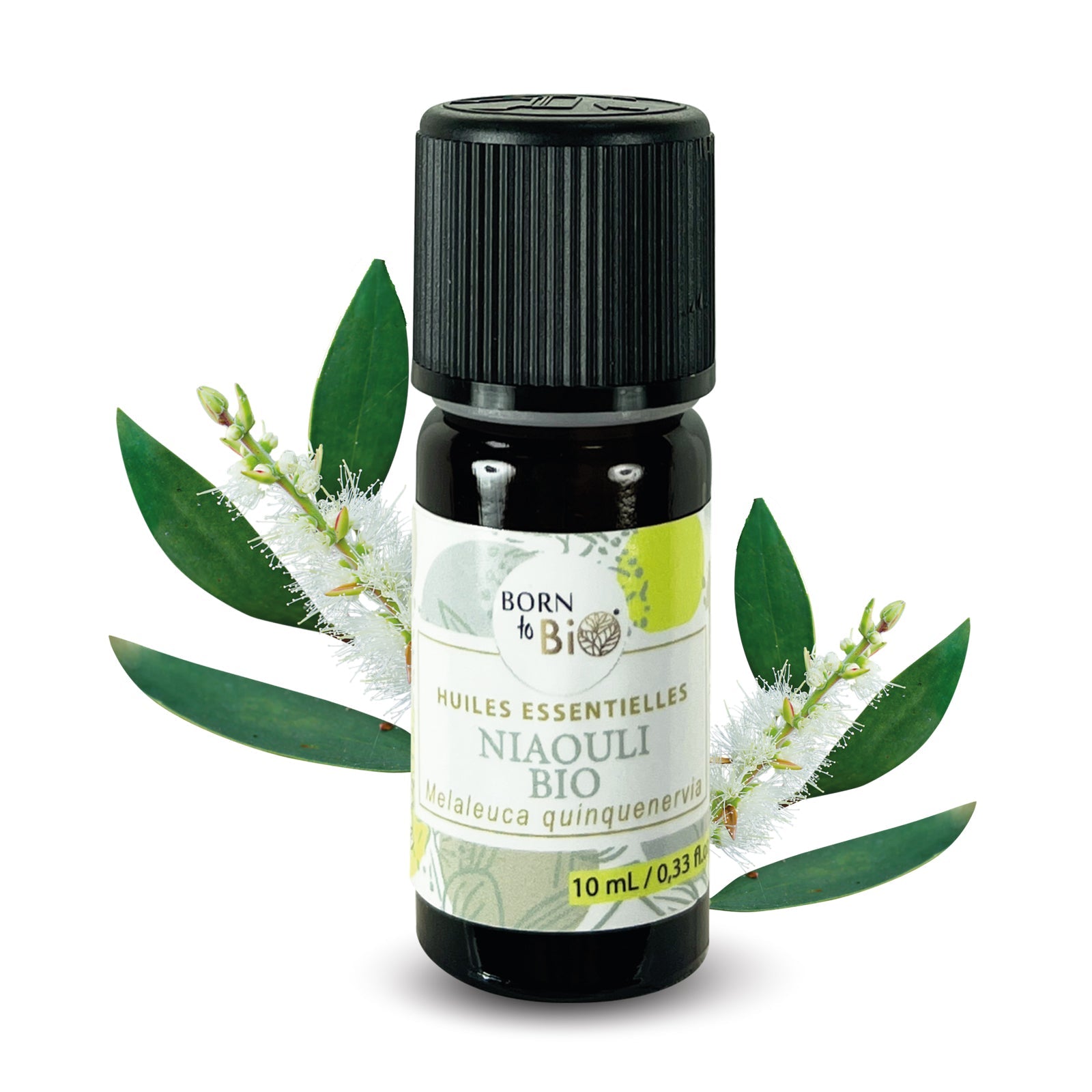 Huile essentielle Niaouli Certifiée Bio-0