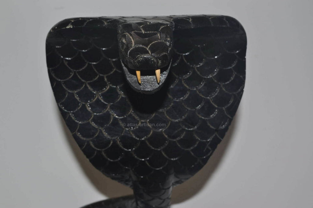 Decor of Thuya The Cobra