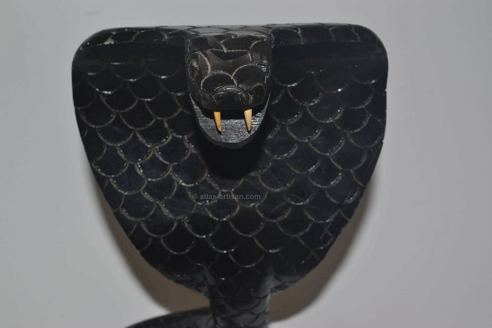 Decor of Thuya The Cobra