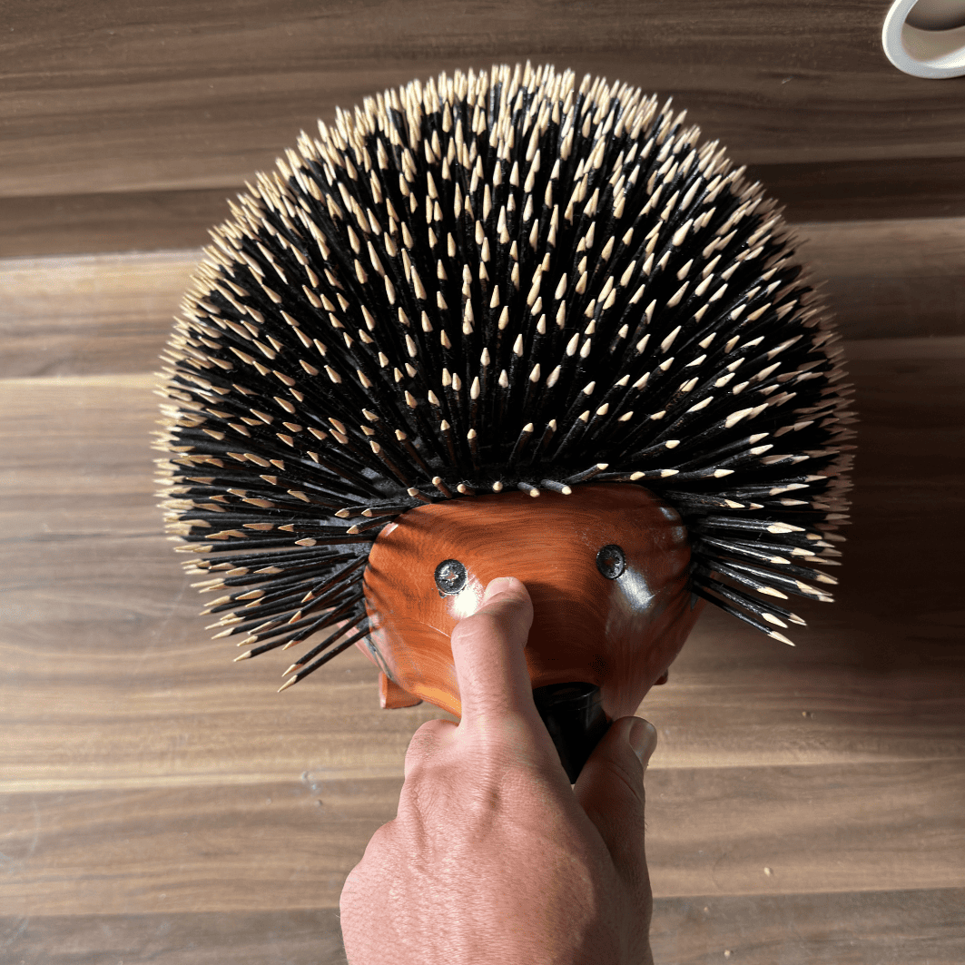 Decor of Thuya Hedgehog