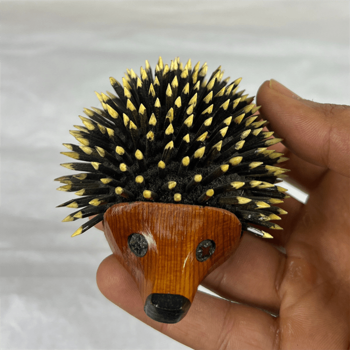 Decor of Thuya Hedgehog